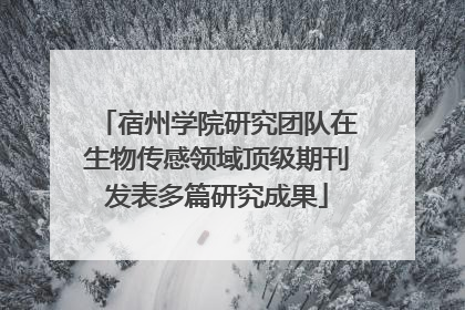 宿州学院研究团队在生物传感领域顶级期刊发表多篇研究成果