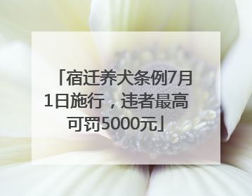 宿迁养犬条例7月1日施行，违者最高可罚5000元