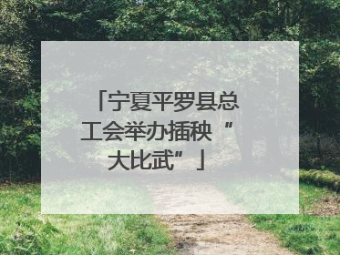 宁夏平罗县总工会举办插秧“大比武”