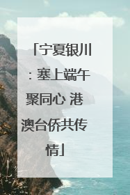 宁夏银川：塞上端午聚同心 港澳台侨共传情