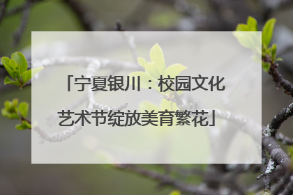 宁夏银川：校园文化艺术节绽放美育繁花