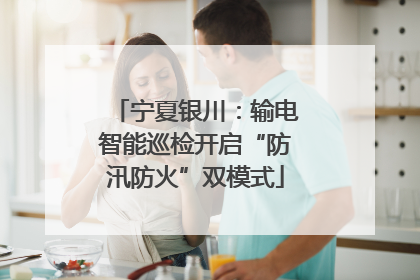 宁夏银川：输电智能巡检开启“防汛防火”双模式