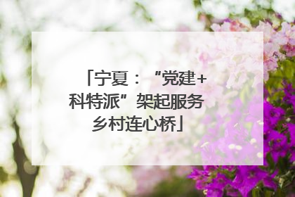 宁夏：“党建+科特派”架起服务乡村连心桥