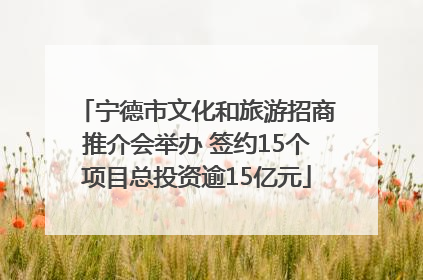 宁德市文化和旅游招商推介会举办 签约15个项目总投资逾15亿元