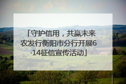 守护信用，共赢未来 农发行衡阳市分行开展6·14征信宣传活动
