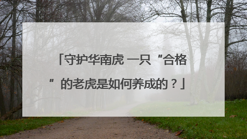 守护华南虎 一只“合格”的老虎是如何养成的？
