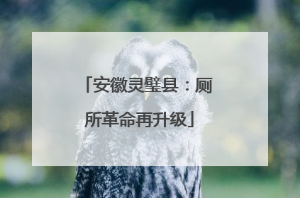 安徽灵璧县：厕所革命再升级