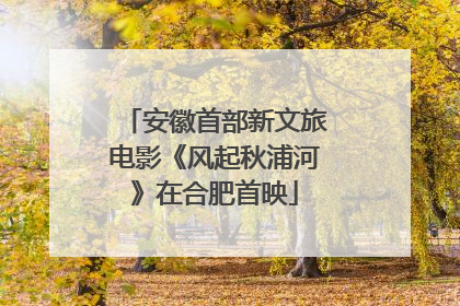 安徽首部新文旅电影《风起秋浦河》在合肥首映