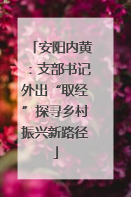 安阳内黄：支部书记外出“取经”探寻乡村振兴新路径
