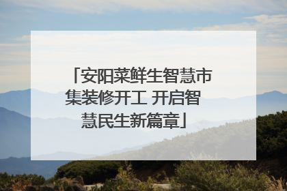安阳菜鲜生智慧市集装修开工 开启智慧民生新篇章