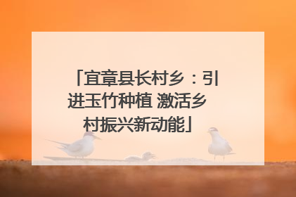 宜章县长村乡：引进玉竹种植 激活乡村振兴新动能