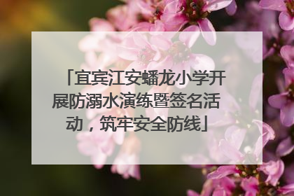 宜宾江安蟠龙小学开展防溺水演练暨签名活动，筑牢安全防线