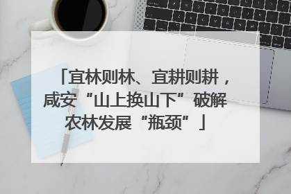 宜林则林、宜耕则耕，咸安“山上换山下”破解农林发展“瓶颈”