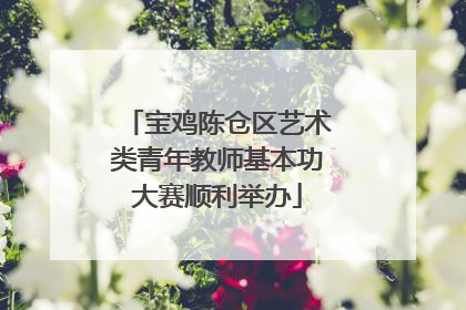 宝鸡陈仓区艺术类青年教师基本功大赛顺利举办