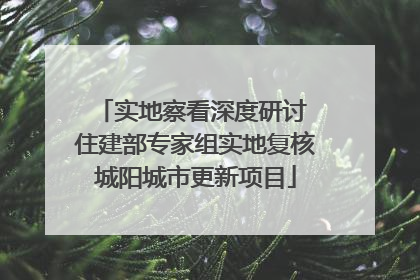 实地察看深度研讨 住建部专家组实地复核城阳城市更新项目