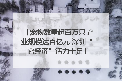 宠物数量超百万只 产业规模达百亿元 深圳“它经济”活力十足