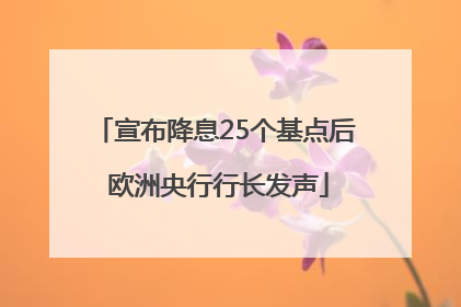 宣布降息25个基点后 欧洲央行行长发声