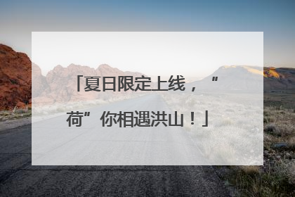 夏日限定上线，“荷”你相遇洪山！