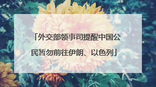 外交部领事司提醒中国公民暂勿前往伊朗、以色列