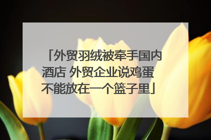 外贸羽绒被牵手国内酒店 外贸企业说鸡蛋不能放在一个篮子里