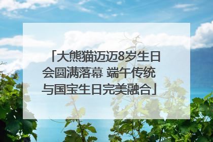 大熊猫迈迈8岁生日会圆满落幕 端午传统与国宝生日完美融合