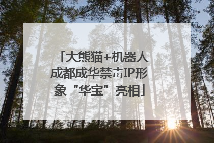 大熊猫+机器人 成都成华禁毒IP形象“华宝”亮相