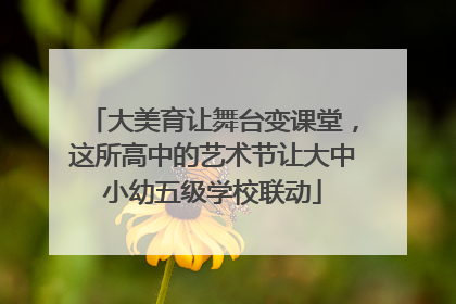 大美育让舞台变课堂，这所高中的艺术节让大中小幼五级学校联动