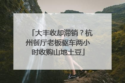 大丰收却滞销？杭州餐厅老板驱车两小时收购山地土豆