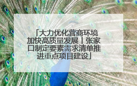 大力优化营商环境 加快高质量发展丨张家口制定要素需求清单推进重点项目建设