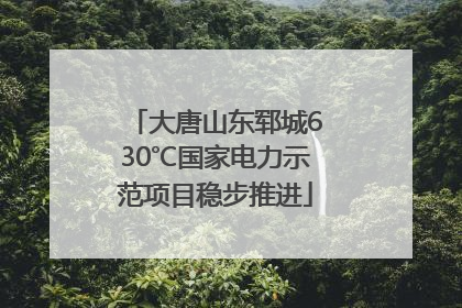 大唐山东郓城630℃国家电力示范项目稳步推进