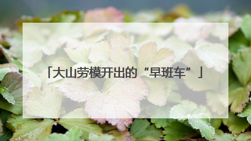 大山劳模开出的“早班车”