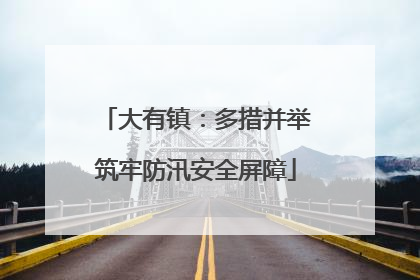 大有镇：多措并举筑牢防汛安全屏障