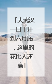 大武汉一日︱开到六月底，这里的花比人还高