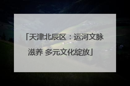 天津北辰区：运河文脉滋养 多元文化绽放
