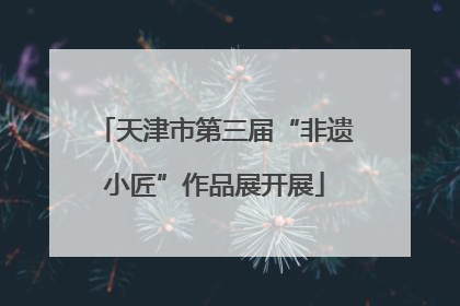 天津市第三届“非遗小匠”作品展开展