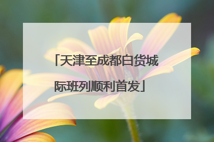 天津至成都白货城际班列顺利首发