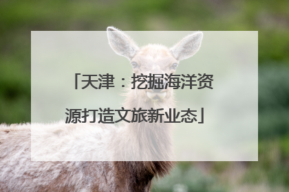 天津：挖掘海洋资源打造文旅新业态