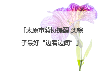 太原市消协提醒 买粽子最好“边看边闻”