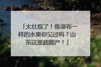 太壮观了！像瀑布一样的水果你见过吗？山东这里超能产！