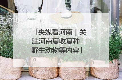 央媒看河南｜关注河南夏收夏种 野生动物等内容