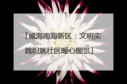 威海南海新区：文明实践织就社区暖心图景