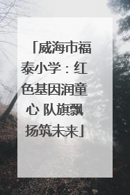 威海市福泰小学：红色基因润童心 队旗飘扬筑未来