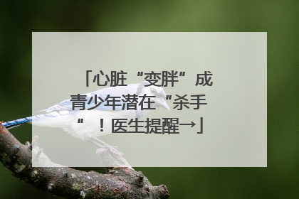 心脏“变胖”成青少年潜在“杀手”！医生提醒→