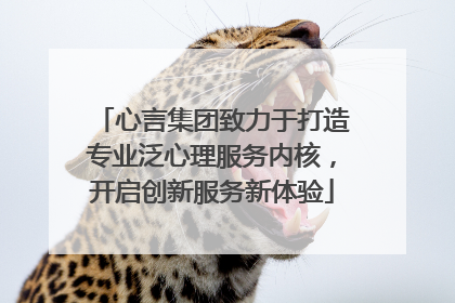 心言集团致力于打造专业泛心理服务内核，开启创新服务新体验