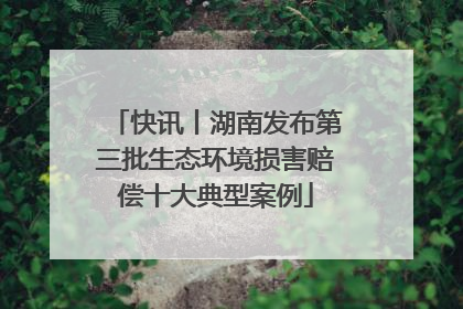 快讯丨湖南发布第三批生态环境损害赔偿十大典型案例