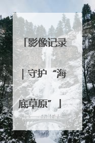 影像记录｜守护“海底草原”