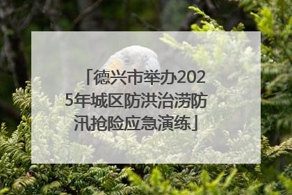 德兴市举办2025年城区防洪治涝防汛抢险应急演练