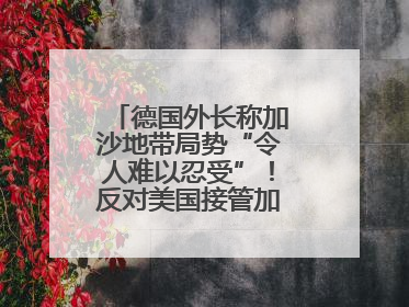 德国外长称加沙地带局势“令人难以忍受”！反对美国接管加沙地带的想法
