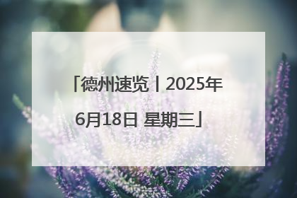 德州速览丨2025年6月18日 星期三
