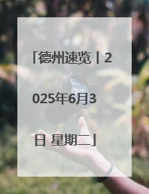 德州速览丨2025年6月3日 星期二